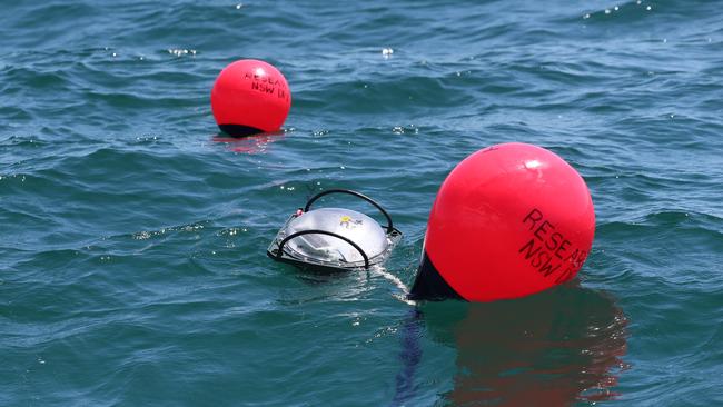 A SMART drumline deployed off the coast at Ballina / Picture: Jason O'Brien