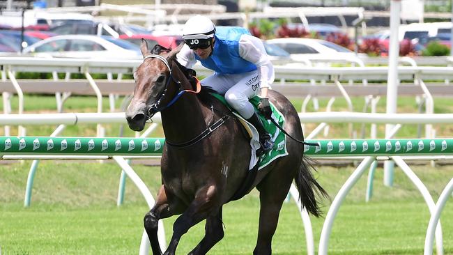 Mishani Delight winning at Eagle Farm. Picture: Trackside Photography