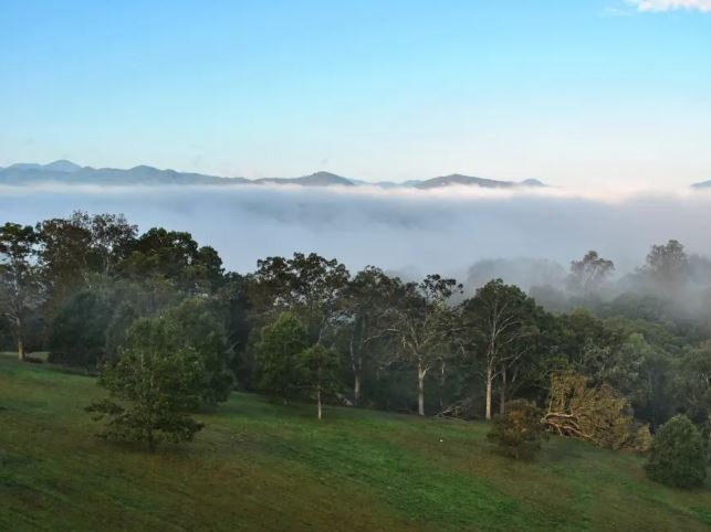 The deer park on Biltmore Estate. Picture: The Biltimore Company