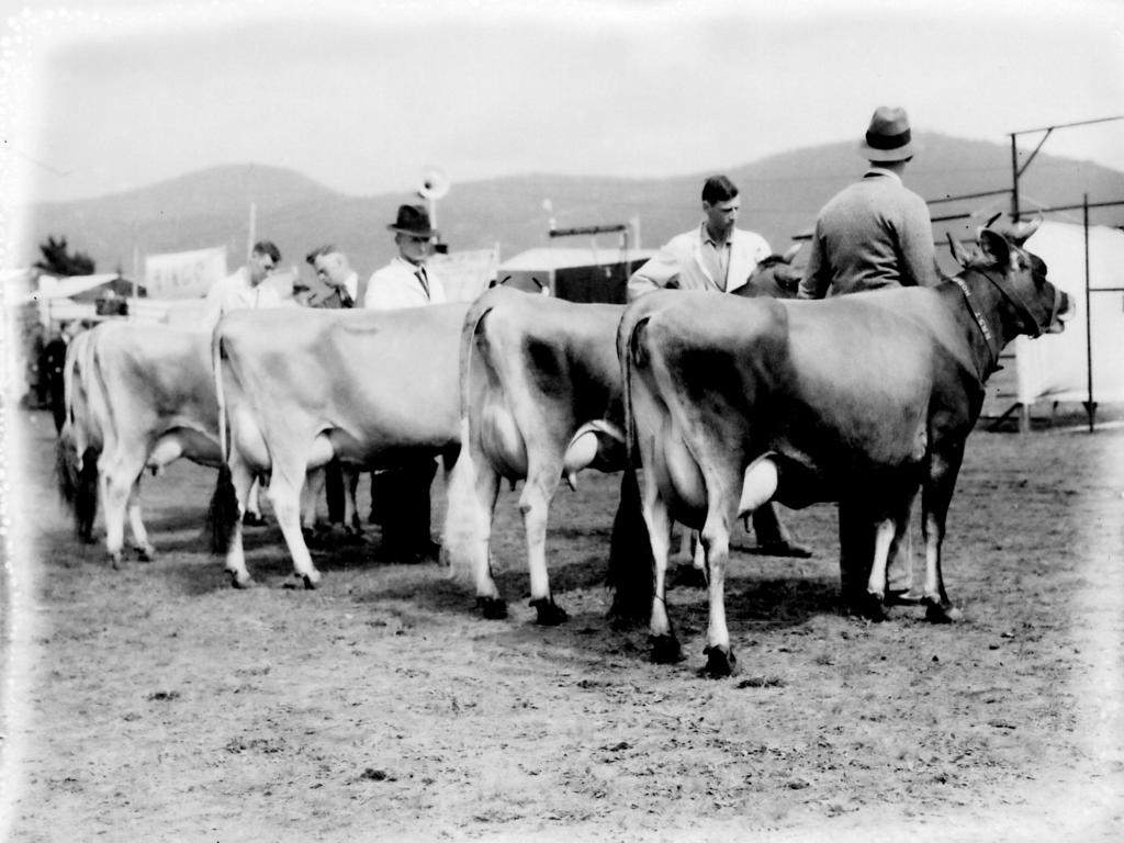 Mercury Archive historical file picture Royal Hobart Show.