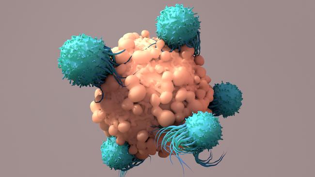 T-Cells Work to Fight Cancer, Immunotherapy, CAR T-cell therapy, 3d renderin