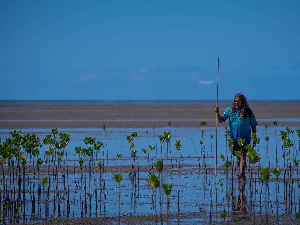Indigenous bush medicine gets official recognition