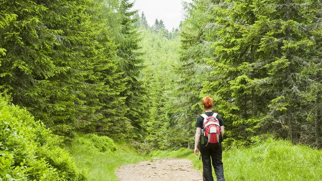 We’re not out of the woods yet, Bitcoin! Photo: iStock