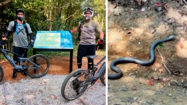 Mega brown snake scares surfer Joel Parkinson