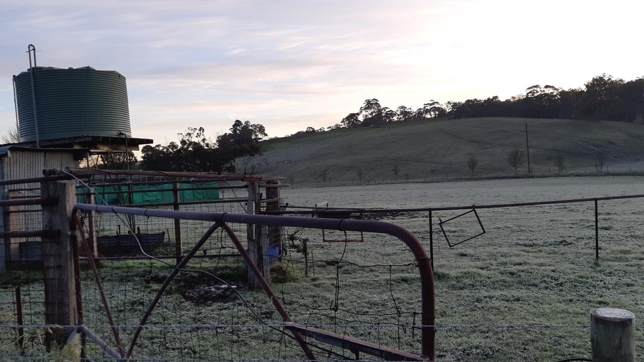 Frost lies on the ground on a farm in Nairne in the Adelaide Hills, when the temperature was just 1C. Picture: Lynton Grace