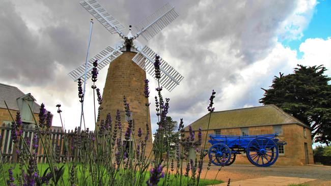 Oatlands’ distinctive Callington Mill. Picture: Kelvin Ball