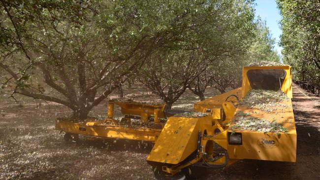 Pension and super funds have snapped up water to meet the thirst of corporate crops, such as almonds.