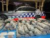 Covid lockdown escapee used rental truck for $2m of drugs