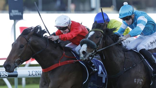 Jojo Was A Man is the favourite for the feature Winter Challenge at Randwick. Picture: Mark Evans/Getty Images