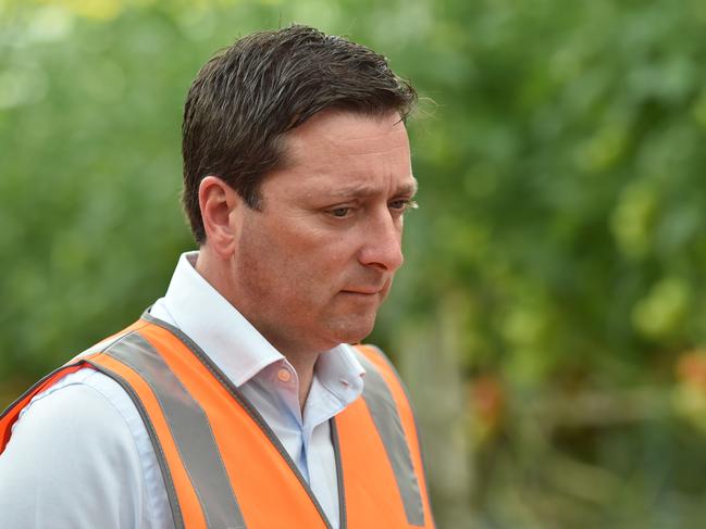 Liberal Party leader Matthew Guy toured a tomato greenhouse factory in Warragul, Victoria on Tuesday. Picture: Nicki Connolly