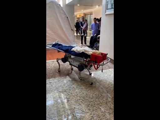 China develops robot dog that carries patients on stretchers