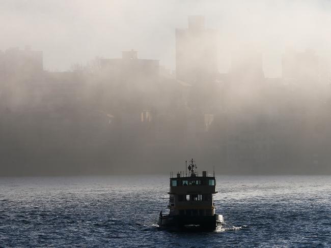 Ferry McFerryface has been already suggested as a name for one of the new ferries. Picture: Toby Zerna