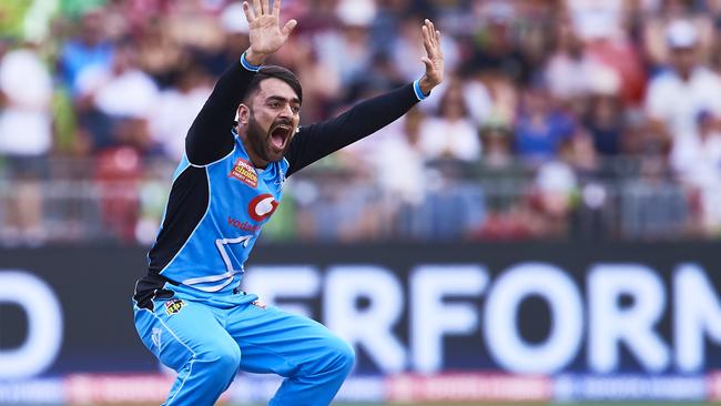 Rashid Khan of the Strikers celebrates taking a wicket.