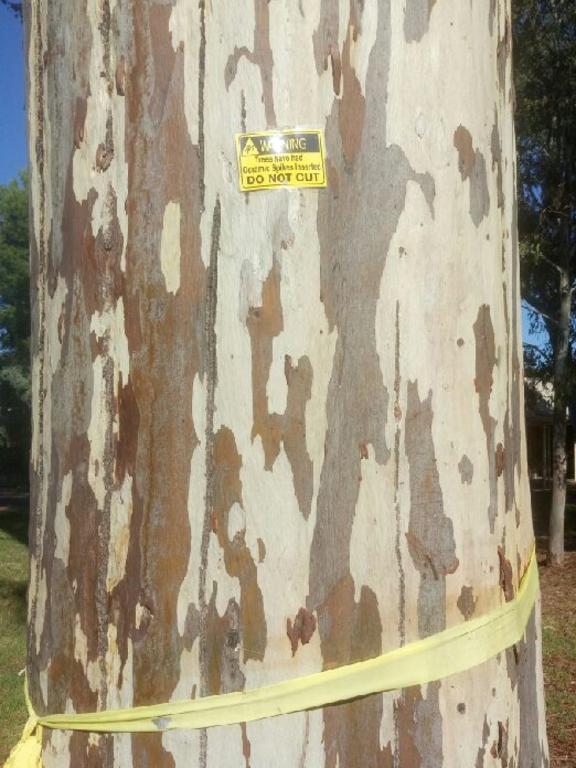 One of the warning signs on gum trees at the former Glenside Hospital site.