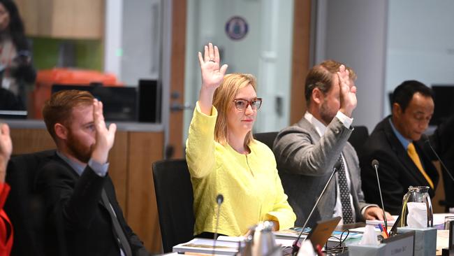 Councillors during the 2024 Budget. Picture: John Gass.