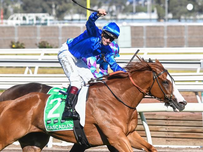 Cascadian (GB) ridden by Ben Melham wins the TAB Australian Cup at Flemington Racecourse on March 30, 2024 in Flemington, Australia. (Photo by Pat Scala/Racing Photos via Getty Images)