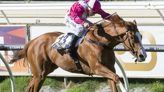 Real Love streaks home to win the 2015 Perth Cup at Ascot on New Year's Day. Picture: Simon Merritt