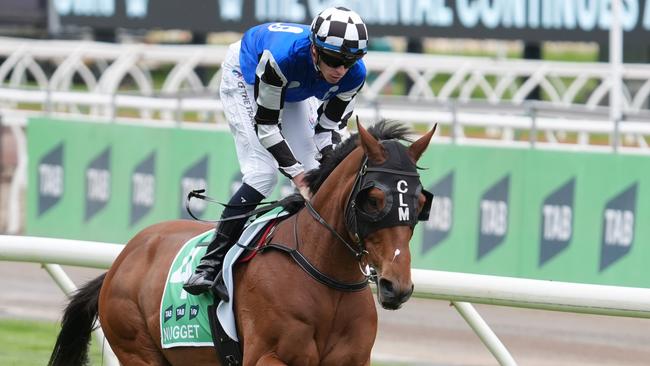 Nugget is chasing a drought-breaking win in the Cranbourne Cup on Saturday. Picture: Jay Town/Racing Photos via Getty Images