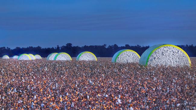 The cotton harvest is shaping up to be a good one with estimated yields of 11 bales a hectare. Picture: Supplied