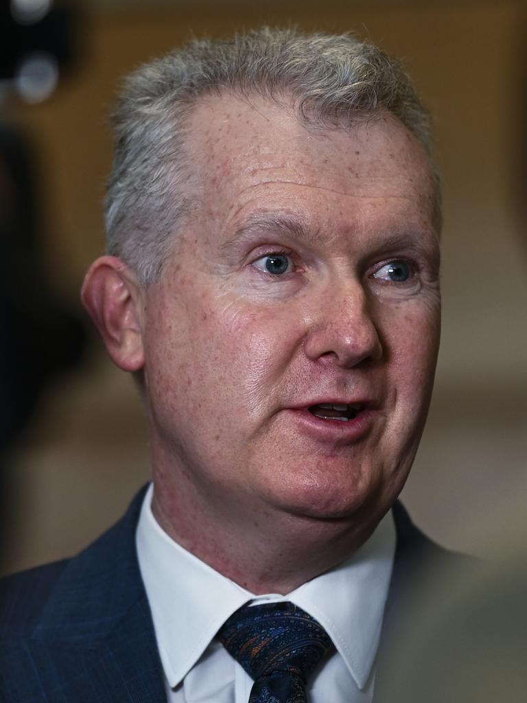 Workplace Minister Tony Burke. Picture: Martin Ollman/Getty Images