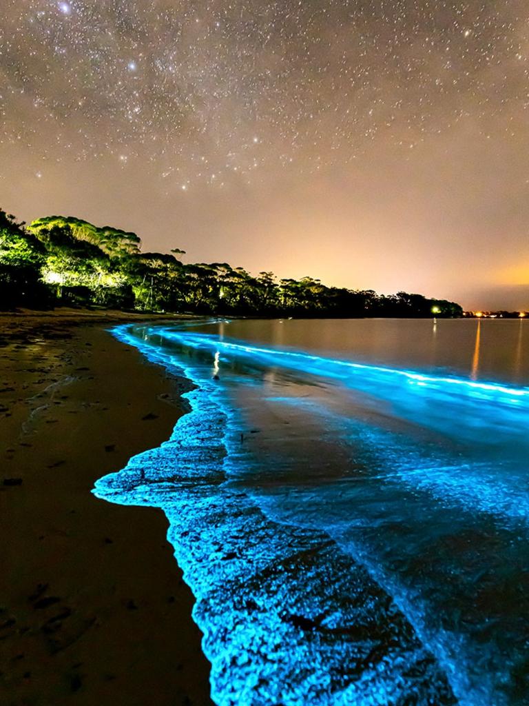 Bioluminescence lights up the shoreline at Barfleur Beach in Jervis Bay beneath a star-filled sky. This is a naturally occurring phenomenon caused by caused my the bioluminescent micro algae noctiluca scintillans, which emits a bright blue glow at night when it is disturbed by wind and wave action, a truly magical sight to see.