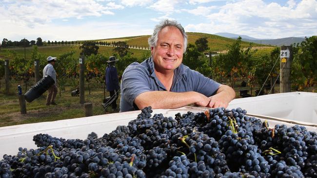 De Bortoli chief winemaker Steve Webber. Picture: Aaron Francis