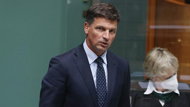 Angus Taylor in the House of Representatives last week. Picture: NCA NewsWire / Gary Ramage