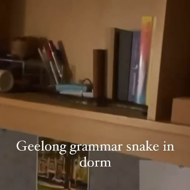 A screenshot from the video, allegedly showing a snake in a Geelong Grammar dorm room. Picture: Instagram
