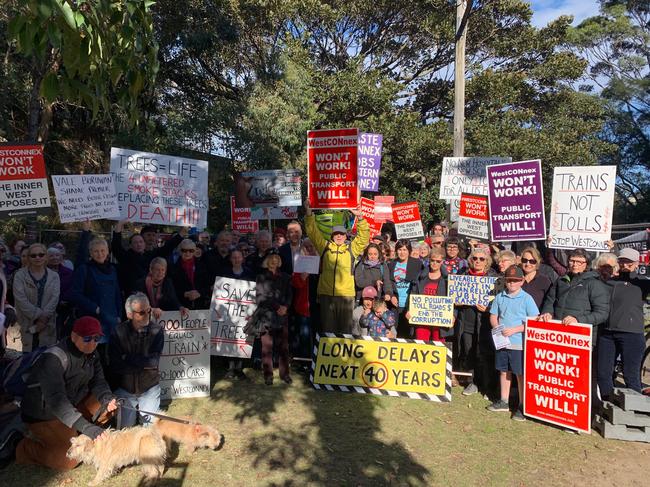 People protesting the removal of trees in Buruwan Park as part of the WestConnex project.