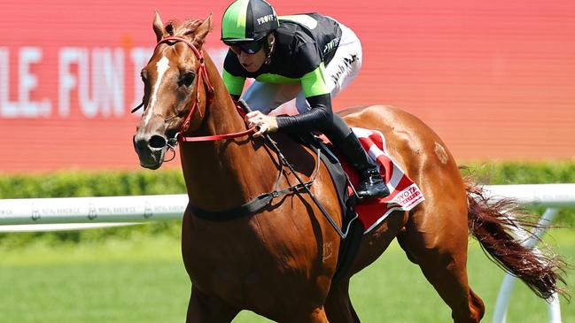 SYDNEY, AUSTRALIA - JANUARY 04: Josh Parr riding Accredited  win Race 4 Toyota Forklifts during Sydney Racing at Royal Randwick Racecourse on January 04, 2025 in Sydney, Australia. (Photo by Jeremy Ng/Getty Images)