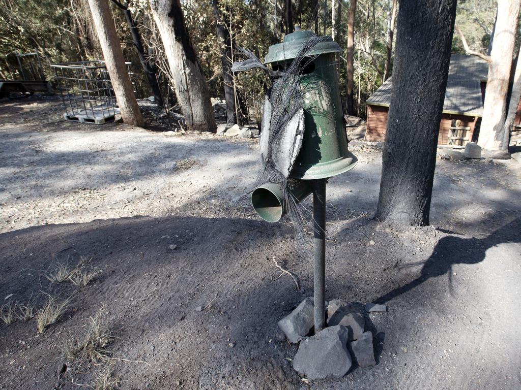 A mailbox on Timbarra Drive. Picture: Nigel Hallett.