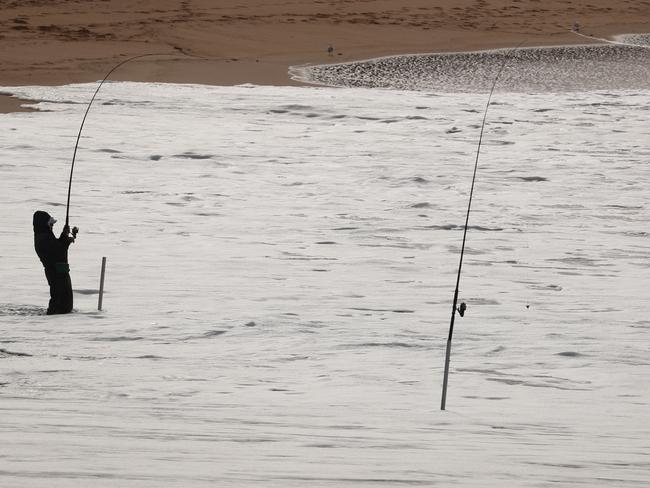 An anger fishing from the beach at the Basin Mona Vale. Picture John Grainger