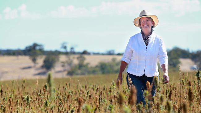 Budding crop: Lyn Stephenson in a hemp paddock on Bunjil Farm at Lauriston in central Victoria. Pictures: Andy Rogers