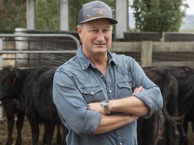 FOCUS: Stephen Gibbons WagyuStephen Gibbons is a Wagyu producer. PICTURED: Stephen Gibbons on his Wagyu farm. PICTURE: ZOE PHILLIPS