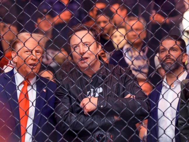 US President-elect Donald Trump, X owner Elon Musk and Donald Trump Jr at an Ultimate Fighting Championship bout. Picture: Kena Betancur (AFP)