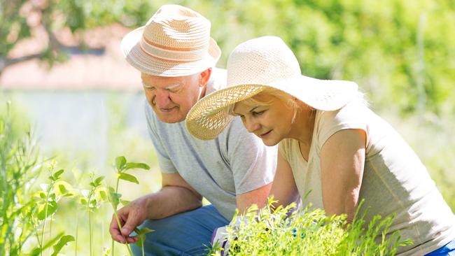 Smiling happy elderly seniors couple gardening