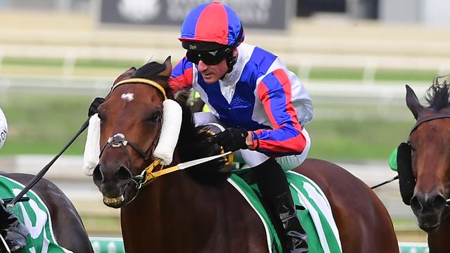 Glen Boss rode Soxagon to victory in the Lough Neath Stakes at Doomben. Picture: Trackside Photography