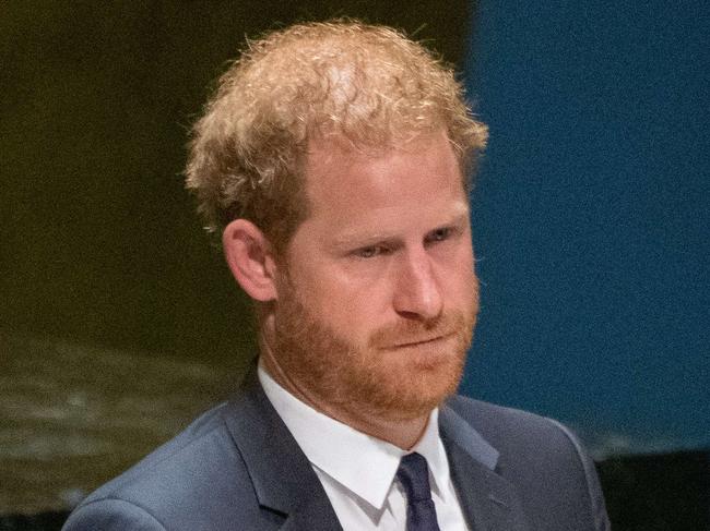 ‘Copy, paste’ artist: Fans fire up at Prince Harry