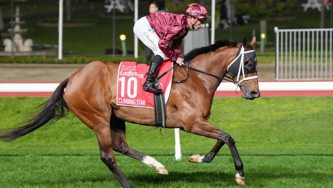 Climbing Star raced well in the Group 1 Manikato Stakes with limited luck. Picture: George Salpigtidis / Racing Photos