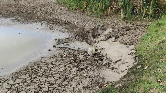 The mud filled dam