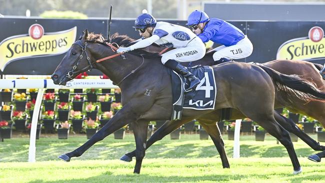 Iowna Merc began the year winning the Canterbury Sprint and now has a slot in The Archer. Picture: Bradley Photos