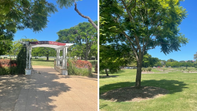 New Farm Park in real life. Image: Leah Goulis / Kidspot 