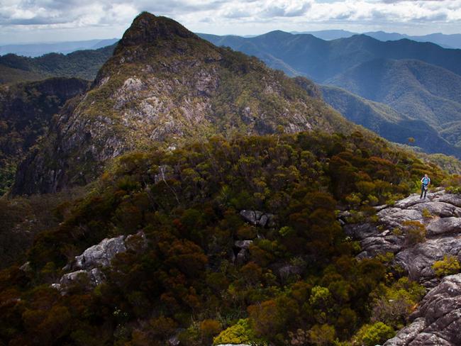 Mount Barney Picture: Queensland Government