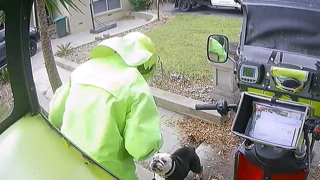 Posties are involved in dog-related incidents about 11 times per working day. Picture: Supplied/Australia Post.