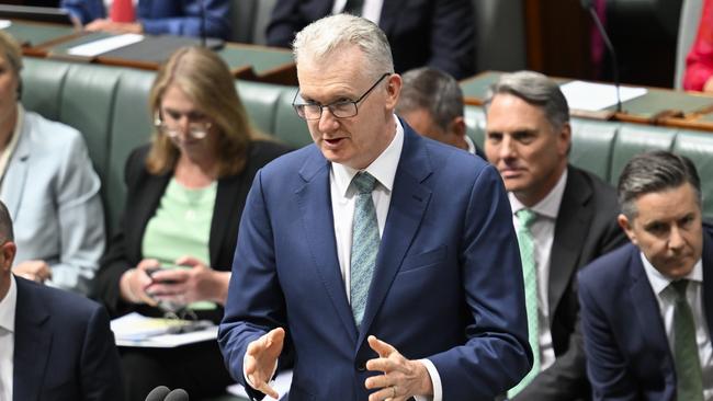 Home Affairs Minister Tony Burke. Picture: Martin Ollman/NewsWire