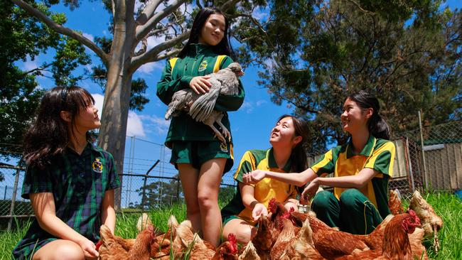 For the state’s smartest high school students, lessons on the farm are compulsory. Picture: Justin Lloyd.