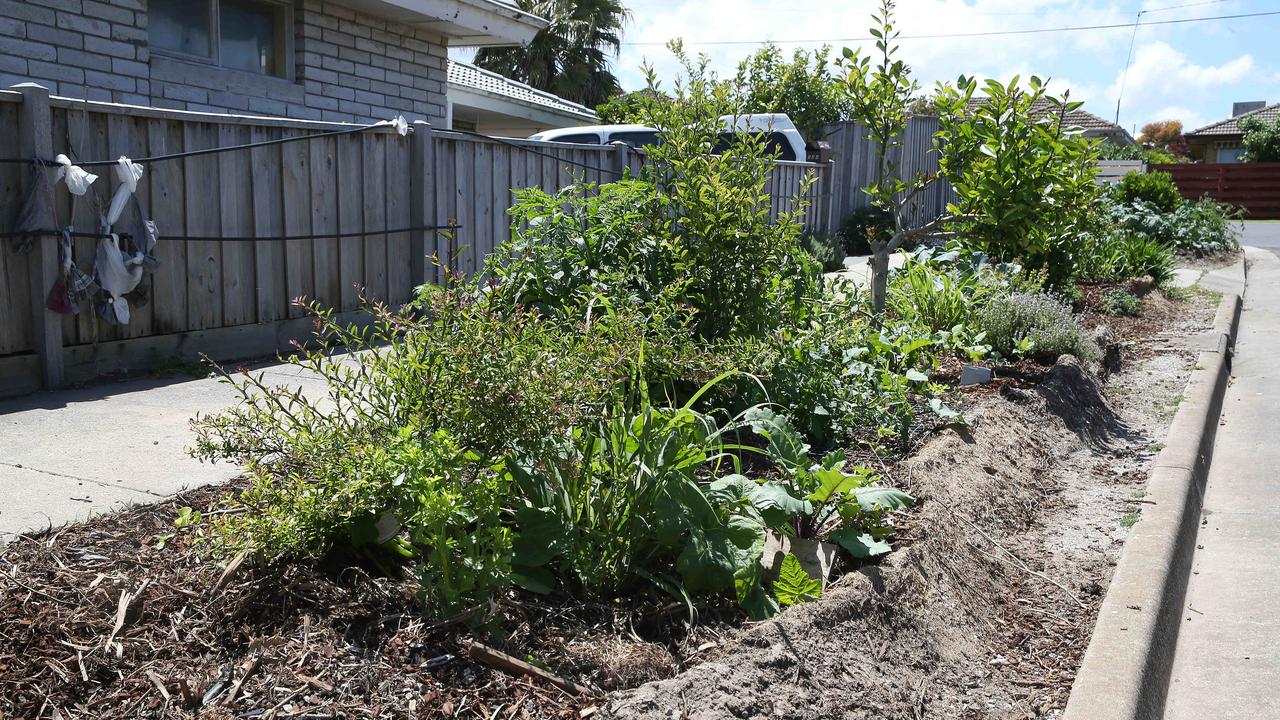 Draft council guidelines will allow edible planting on nature strips. Picture: Peter Ristevski