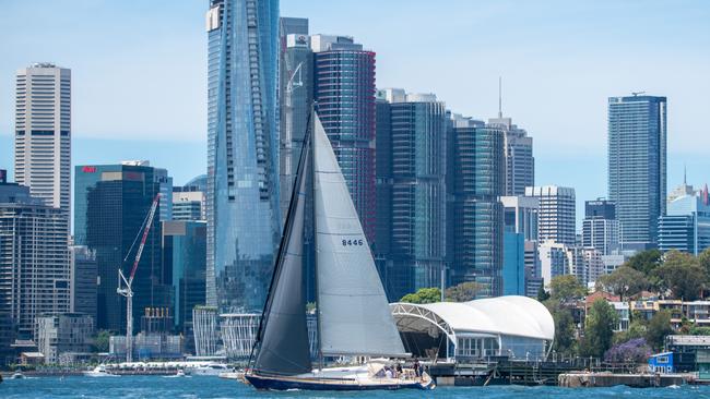 Balmain Regatta, October 30. Picture: Thomas Lisson