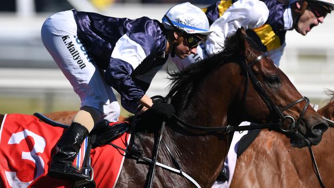 Johannes Vermeer ran second in the Caulfield Stakes last Saturday. Picture: AAP