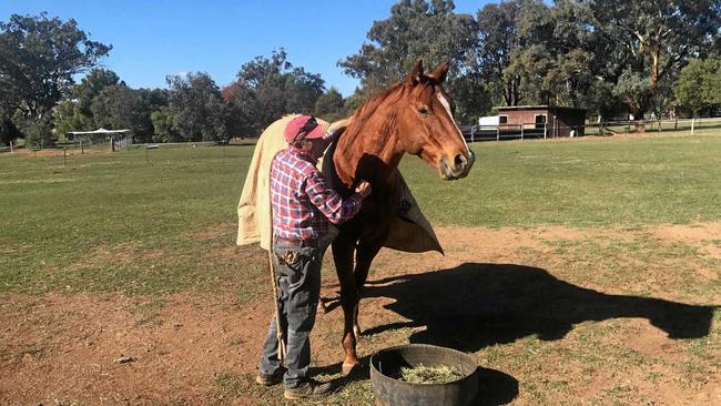 Paul St Vincent and a rugged-up Henry (The Jackal) in Tamworth on a cold and sunny morning.INSET: Robert Thompson drives The Jackal home to win a second Ramornie Handicap. Picture: Geoff Newling